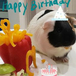 Meet your Posher, Aaron